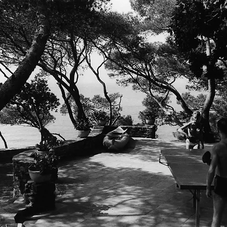Hotel Hotel Le Provencal A Giens - Bord De Mer 3*
