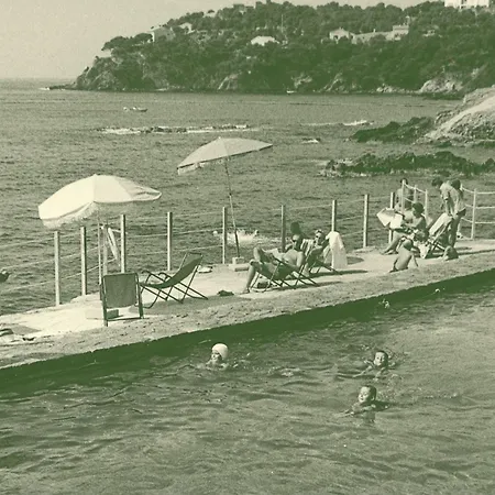 Hotel Hotel Le Provencal A Giens - Bord De Mer Hyères