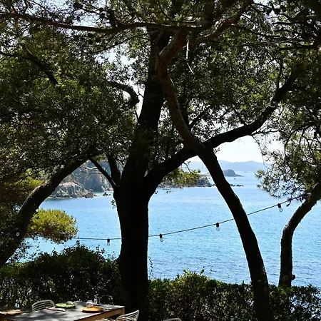 Hotel Provençal Hyères