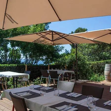 Hotel Le Provencal A Giens - Bord De Mer Hotel 3*