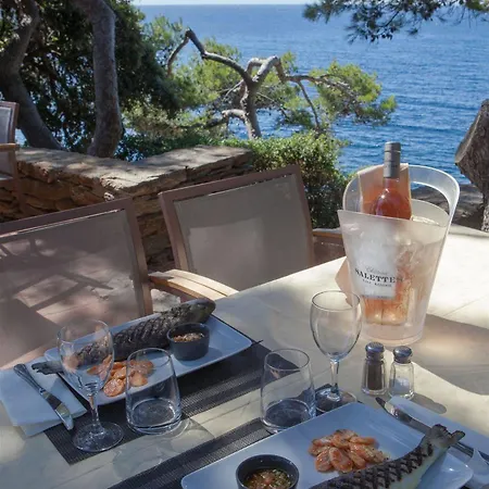 Hotel Hotel Le Provencal A Giens - Bord De Mer Hyères