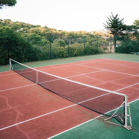 Provençal Hyères