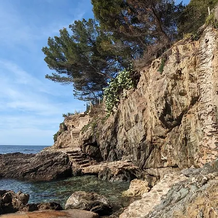 Provençal 3*