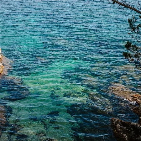 Provençal Hyères